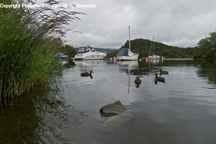 Boat, Watercraft, Harbor, Port, Waterfront, Dock, Landing
