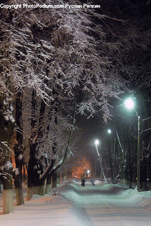 Blizzard, Outdoors, Snow, Weather, Winter, Ice, Art