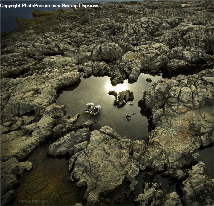 Rock, Algae, Land, Marsh, Pond, Swamp, Water