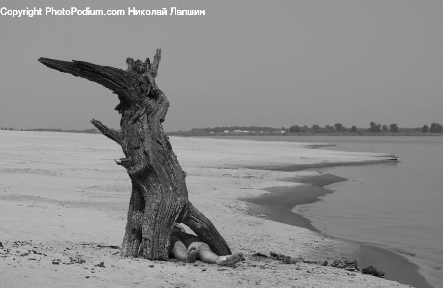 Tree Stump, Outdoors, Sand, Soil, Driftwood, Wood, Beach