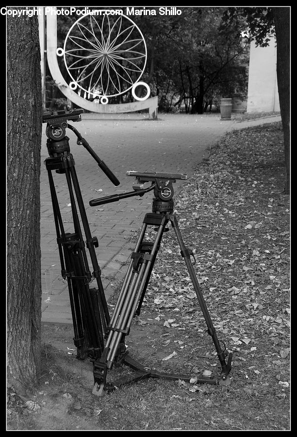 Tripod, Bicycle, Bike, Vehicle