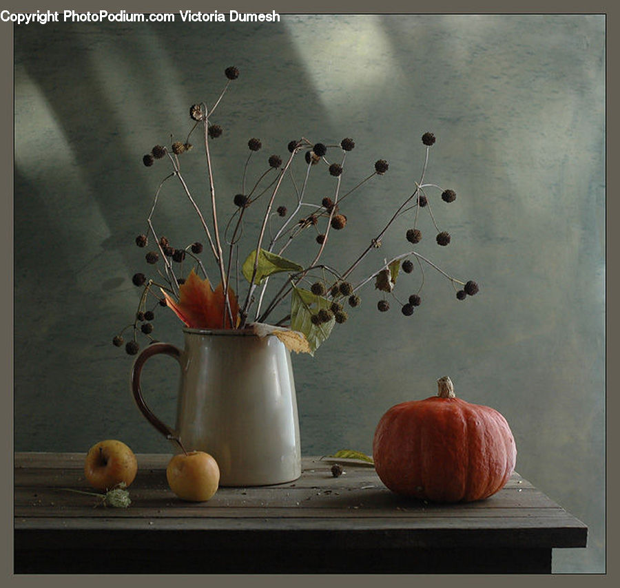 Plant, Potted Plant, Pumpkin, Squash, Vegetable, Flower Arrangement, Ikebana