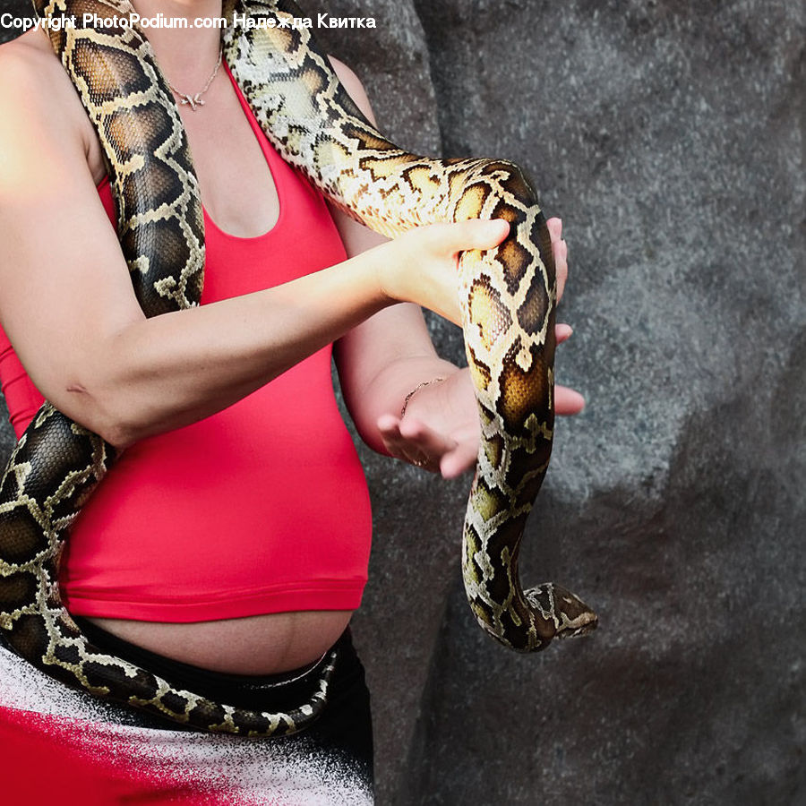 People, Person, Human, Reptile, Snake, Anaconda, Footwear