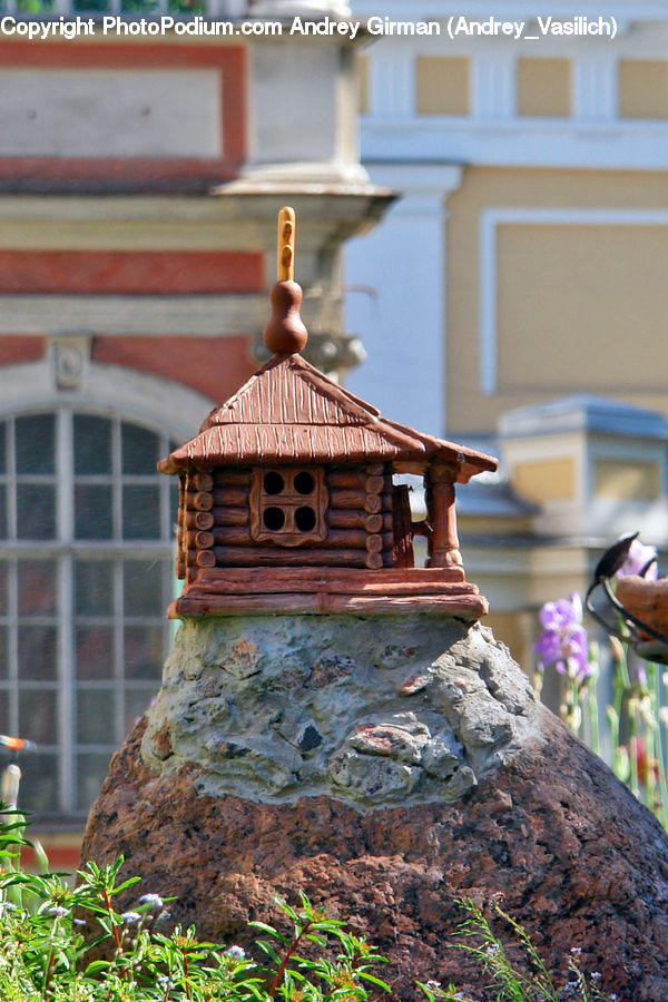 Bird Feeder, Plant, Cake, Dessert, Food, Moss, Vegetation