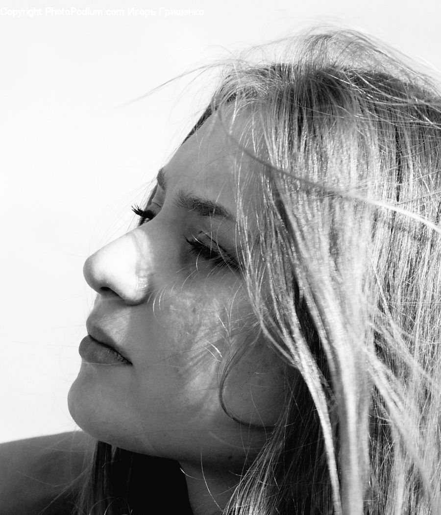 Person, Portrait, Blonde, Female, Woman