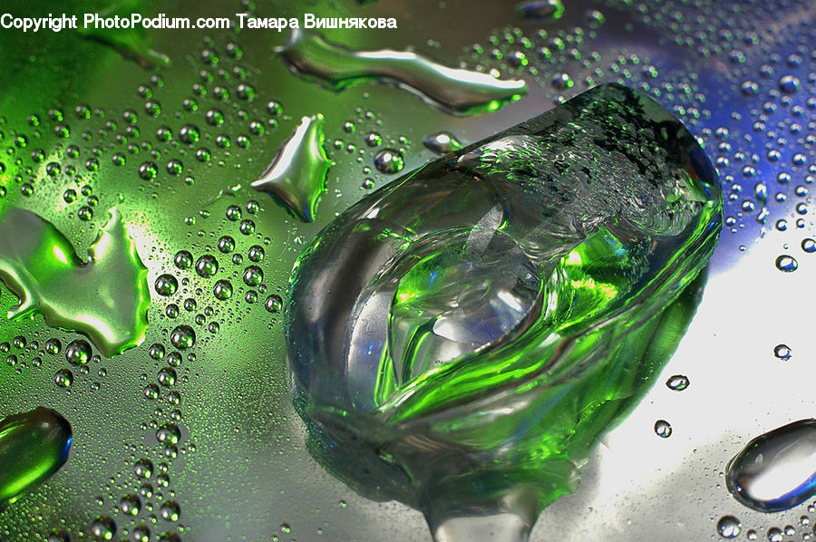Droplet, Bubble, Leaf, Plant, Fractal