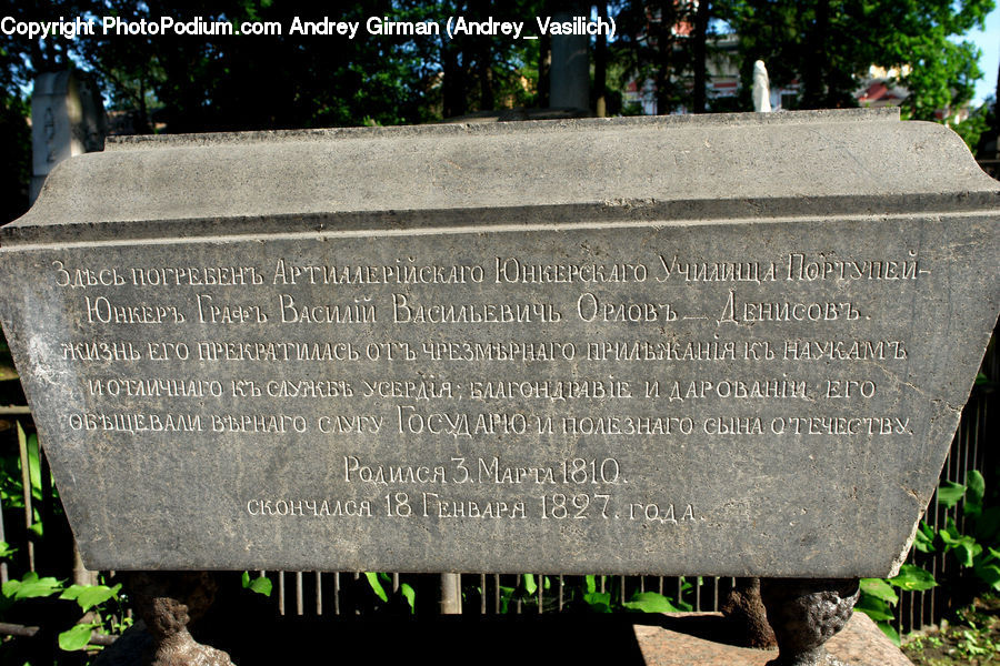Plaque, Rock
