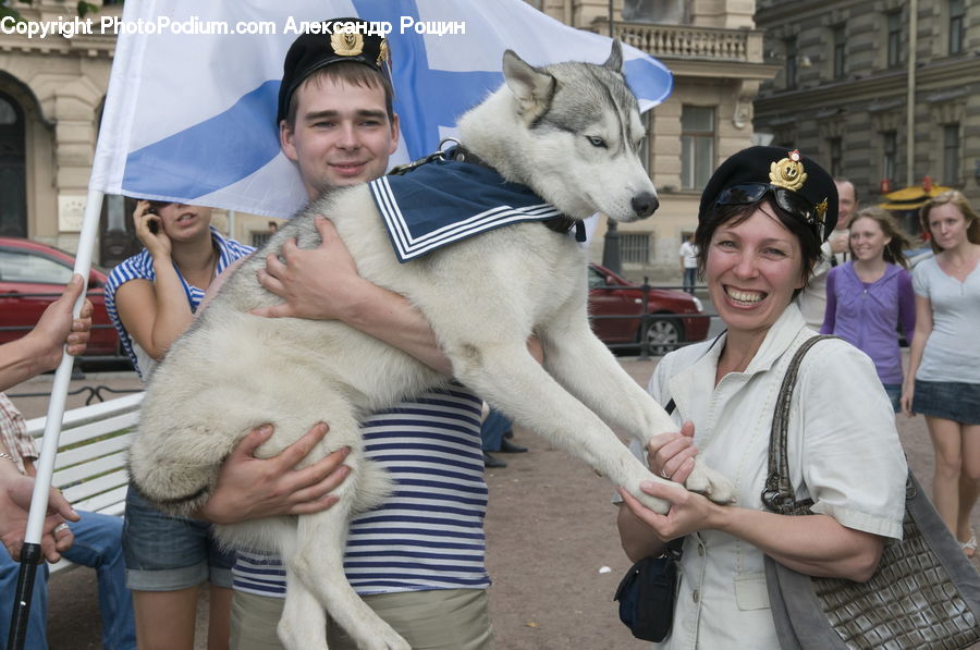People, Person, Human, Animal, Canine, Dog, Eskimo Dog