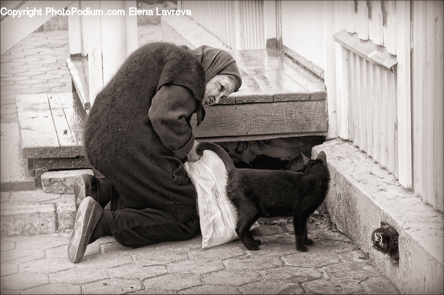 People, Person, Human, Animal, Zoo, Asleep, Alley