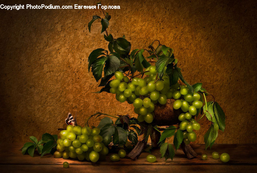 Fruit, Grapes, Plant, Potted Plant, Citrus Fruit, Lemon, Grapefruit