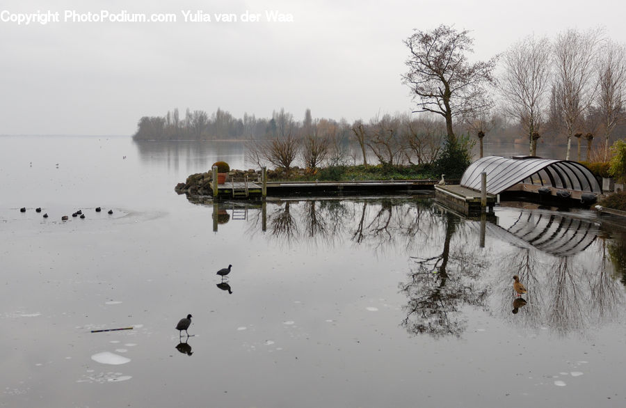 Flood, Outdoors, Pond, Water, Landscape, Nature, Scenery