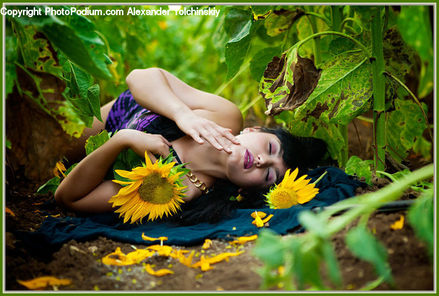 Female, Girl, Person, Woman, Blossom, Flora, Flower