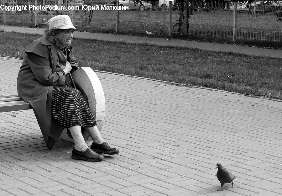 Human, People, Person, Performer, Bird, Pigeon, Tourist