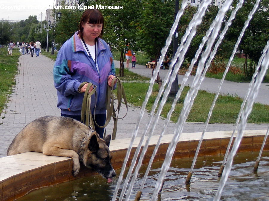 Human, People, Person, Animal, Canine, Dog, Mammal