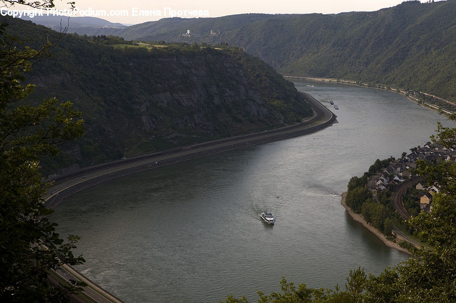 Plant, Potted Plant, Train, Vehicle, Road, Outdoors, River