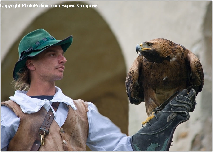 Human, People, Person, Bird, Buzzard, Harrier, Hawk