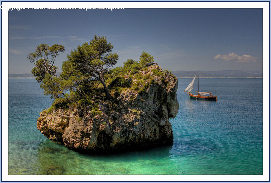 Coast, Island, Land, Sea, Plant, Tree, Cliff