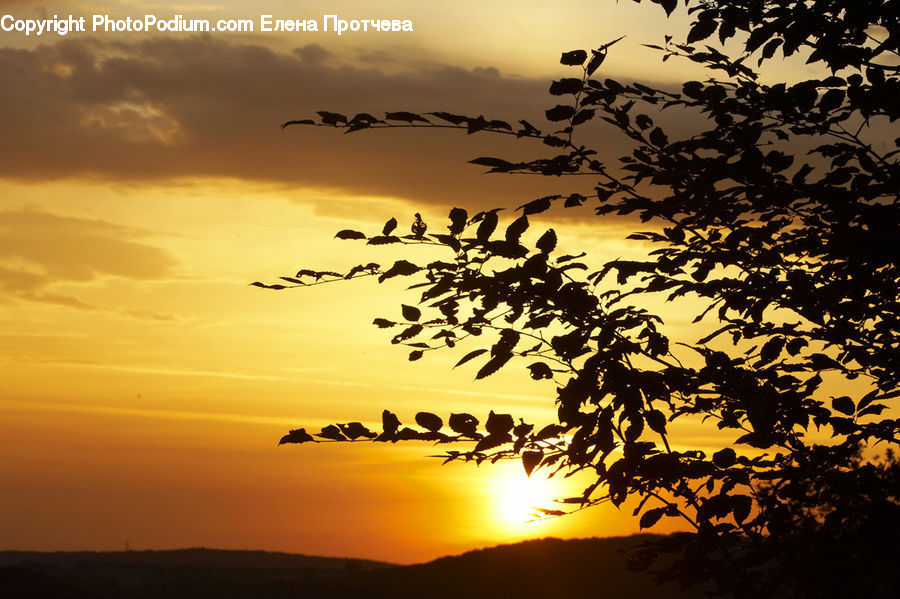 Dawn, Dusk, Red Sky, Sky, Sunrise, Sunset, Silhouette