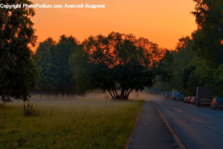 Dirt Road, Gravel, Road, Plant, Tree, Lake, Outdoors