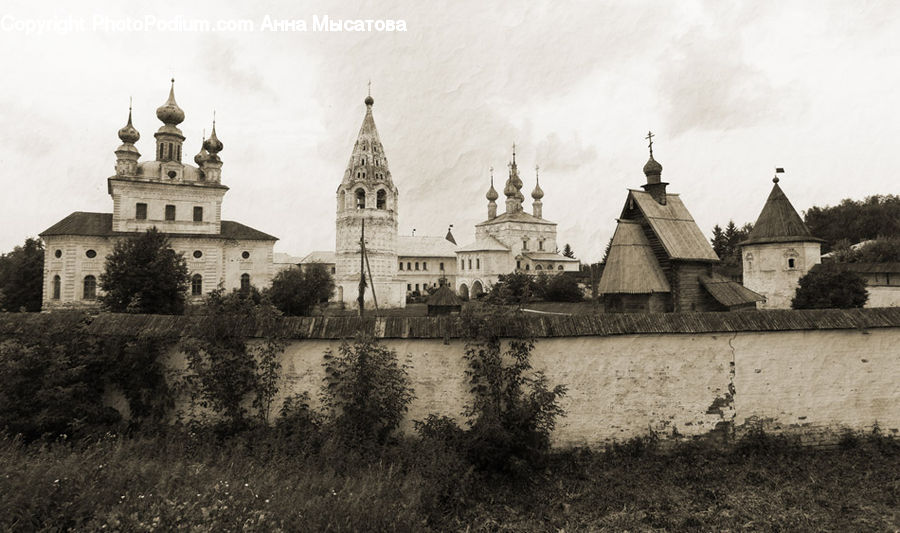 Plant, Potted Plant, Architecture, Castle, Fort, Church, Worship