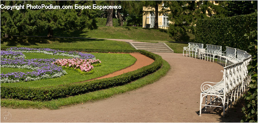 Bench, Chair, Furniture, Garden, Flagstone, Blossom, Flora