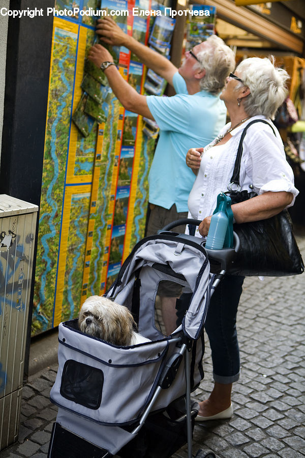 People, Person, Human, Shop, Leisure Activities