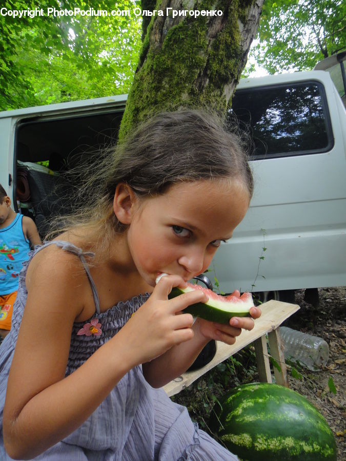 People, Person, Human, Fruit, Watermelon, Maillot, Leisure Activities