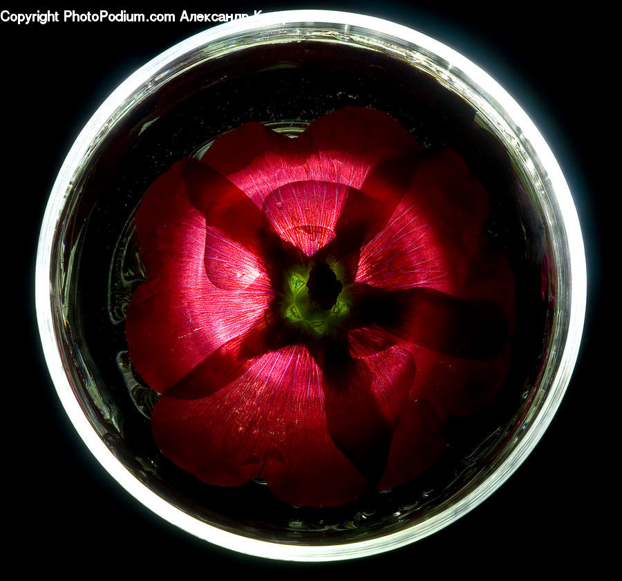 Bowl, Produce, Vegetable, Cherry, Fruit