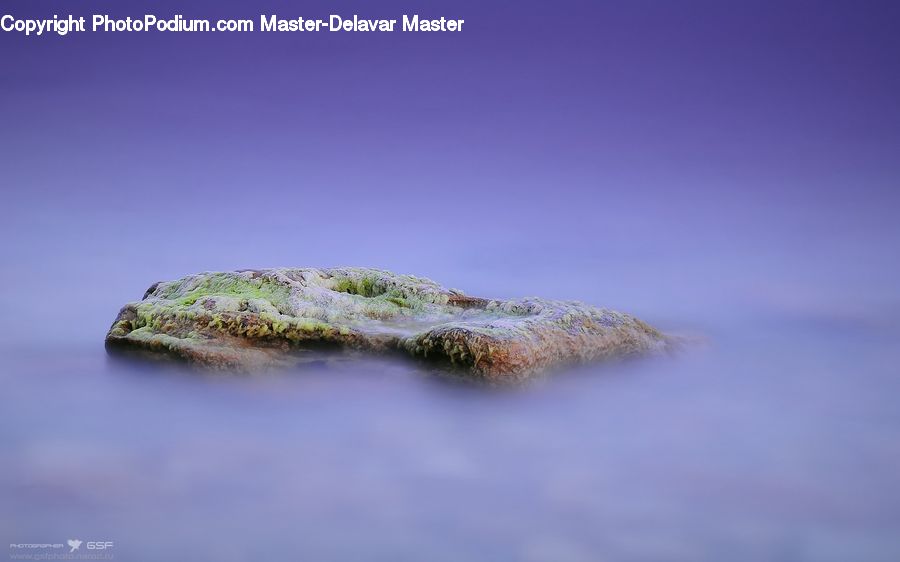 Moss, Plant, Coast, Island, Land, Sea, Field