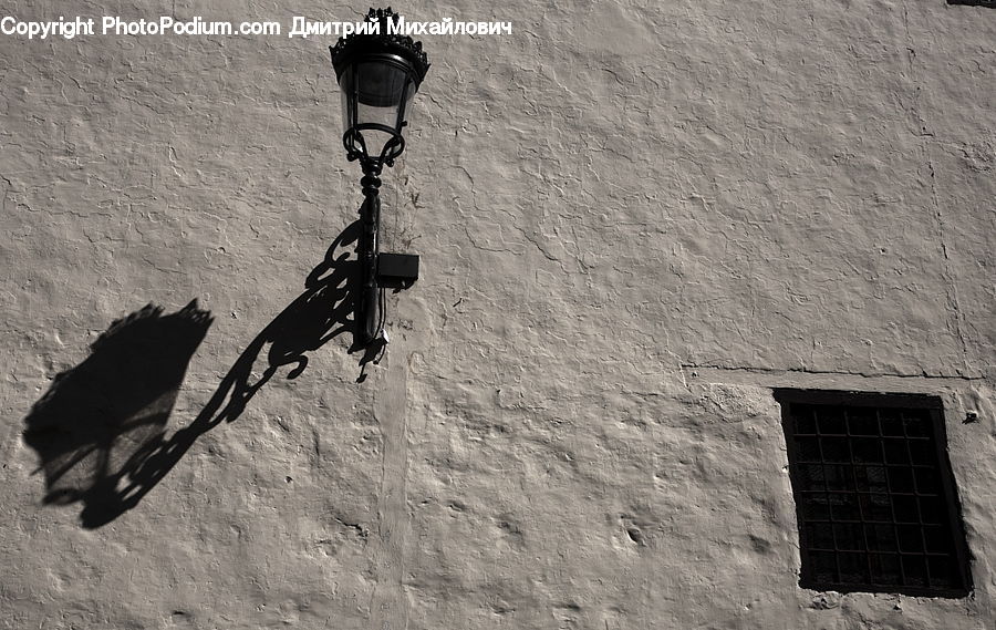 Animal, Bat, Racket, Bird, Blackbird, Crow, Crypt