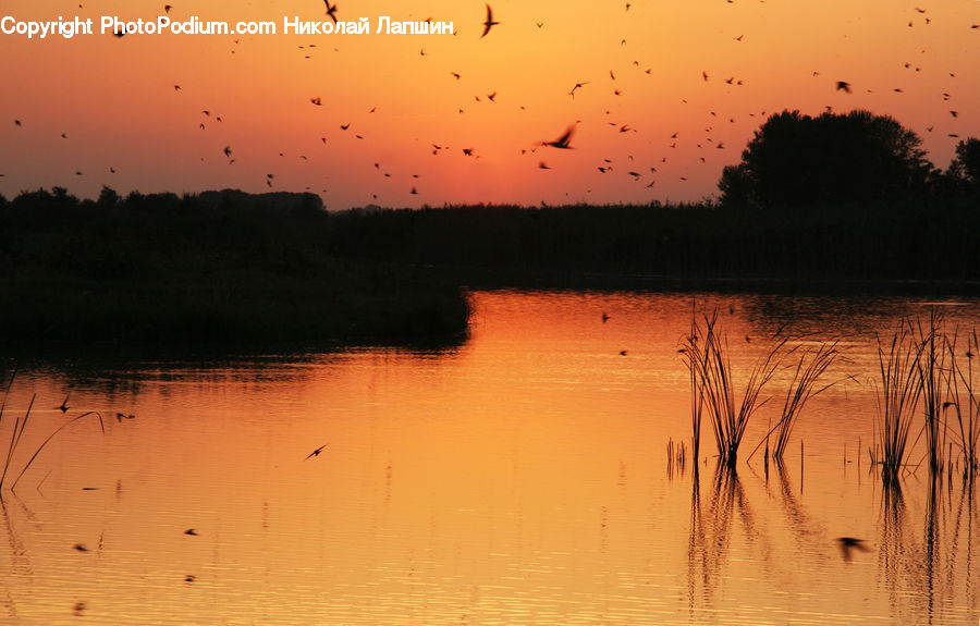 Dawn, Dusk, Red Sky, Sky, Sunrise, Sunset