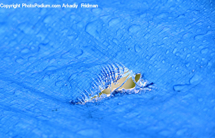 Water, Aquatic