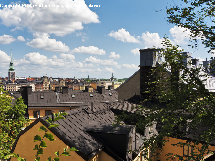Plant, Potted Plant, Architecture, Cathedral, Church, Worship, Bell Tower