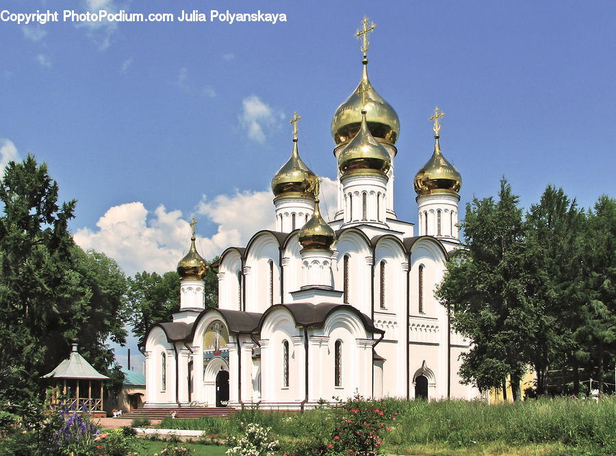 Plant, Potted Plant, Architecture, Housing, Monastery, Church, Worship