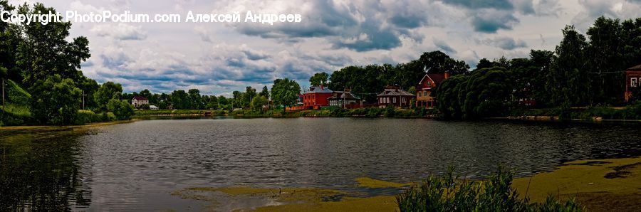 Plant, Tree, Outdoors, River, Water, Pond, Conifer