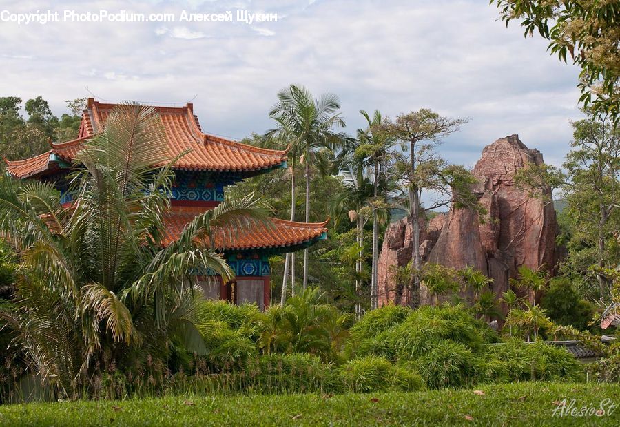 Plant, Potted Plant, Cliff, Outdoors, Building, Housing, Villa