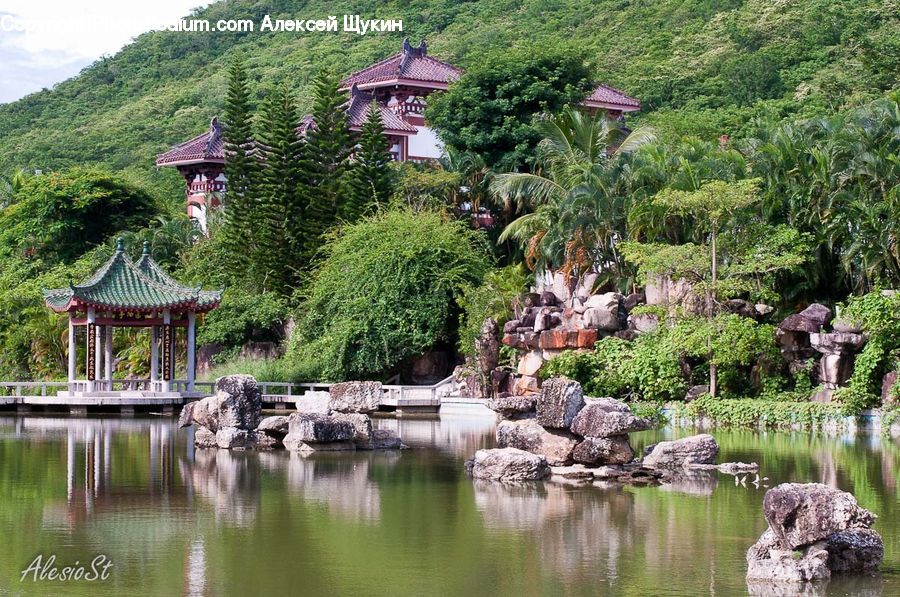 Outdoors, Pond, Water, Architecture, Pagoda, Shrine, Temple