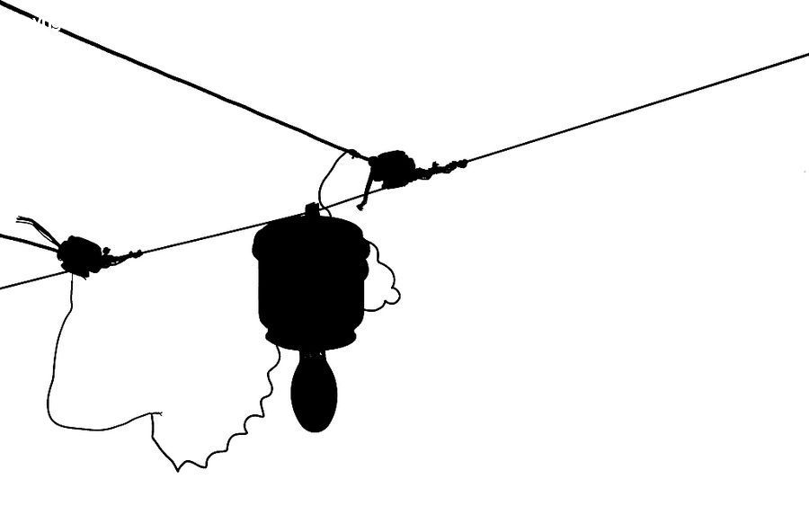 Silhouette, Insect, Invertebrate, Mosquito