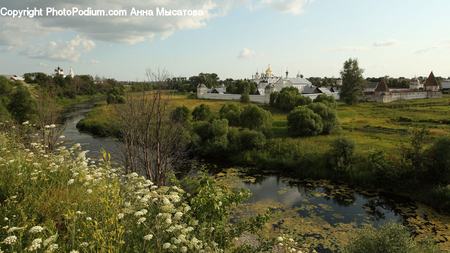 Field, Grass, Grassland, Land, Outdoors, Marsh, Swamp