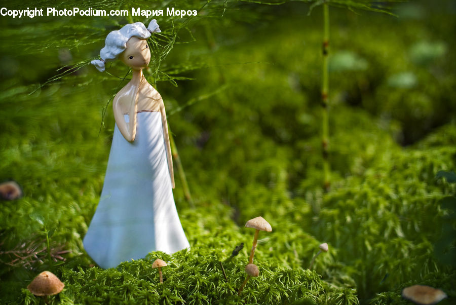 People, Person, Human, Algae, Moss, Plant, Clothing