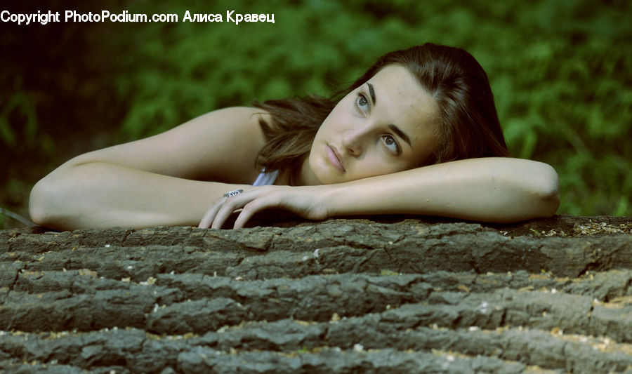 Female, Person, Girl, Woman, Portrait, Face