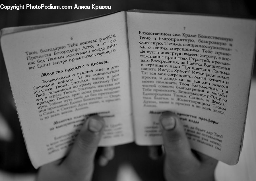 Reading, Paper, Word, Letter, Text