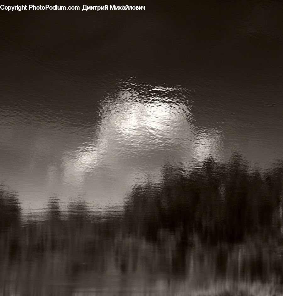 Fog, Grass, Plant, Reed, Water, Forest, Vegetation