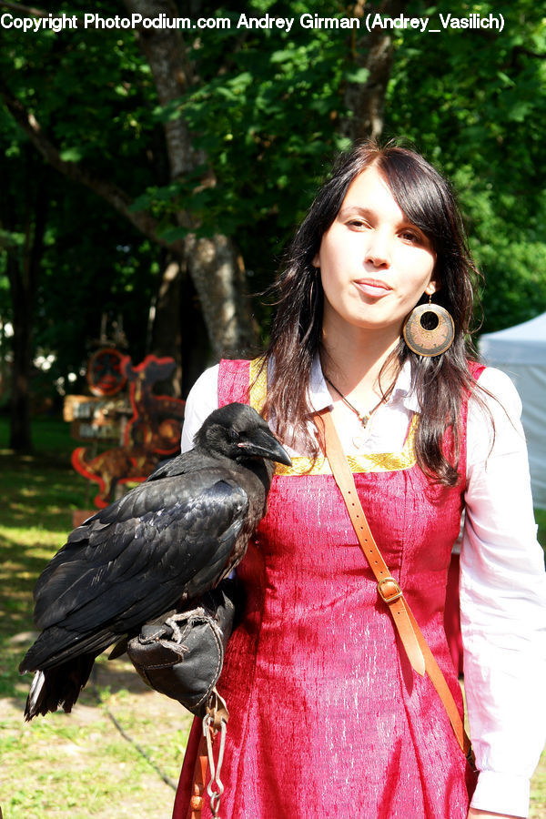 Human, People, Person, Bird, Blackbird, Crow, Bicycle