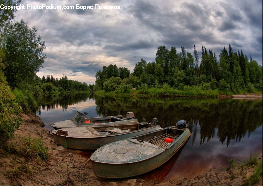 Boat, Watercraft, Plant, Potted Plant, Rowboat, Vessel, Canoe