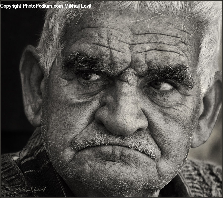 Person, Portrait, Selfie, Face, People