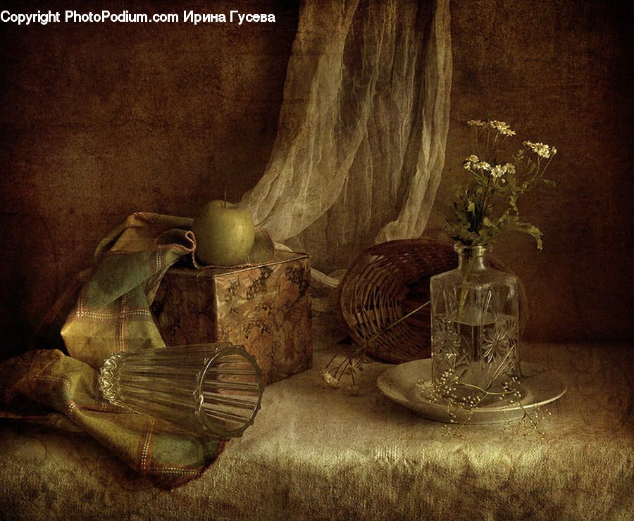 Plant, Potted Plant, Glass, Goblet, Flower Arrangement, Ikebana, Vase