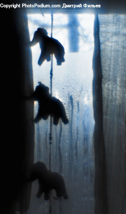 Bird, Seagull, Finger, Silhouette, Water