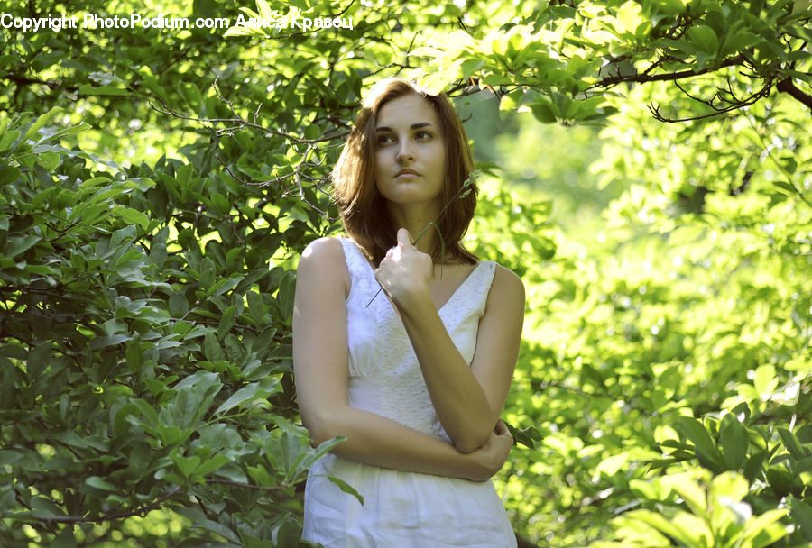 People, Person, Human, Female, Girl, Woman, Outdoors