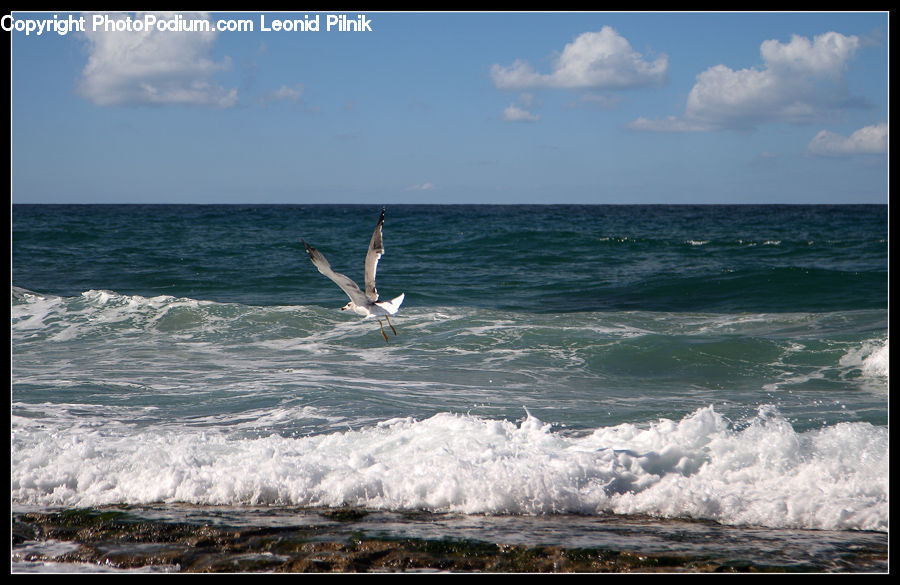Ocean, Outdoors, Sea, Water, Beach, Coast, Sea Waves